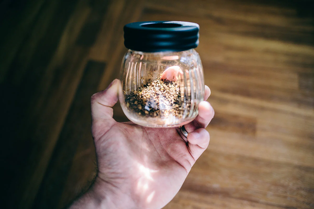Hario Skerton Hand Grinder Jar - Image 2